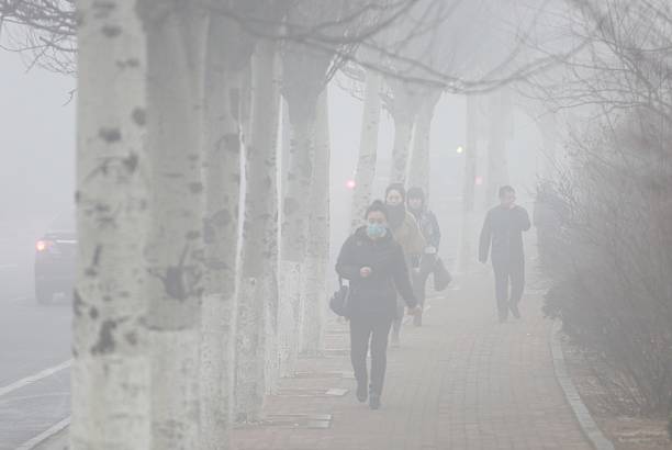 Pedestrians wearing masks walk along a street in heavy smog on December 19, 2016 in Dalian, China. At least 24 cities in North China issued red...