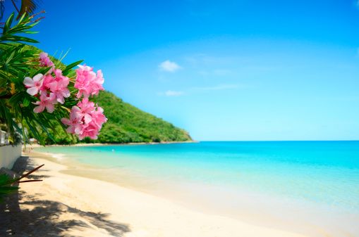 Beach Hawaii Images Pictures In Jpg Hd Free Stock Photos