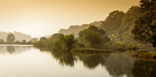 Thekkady beautiful place