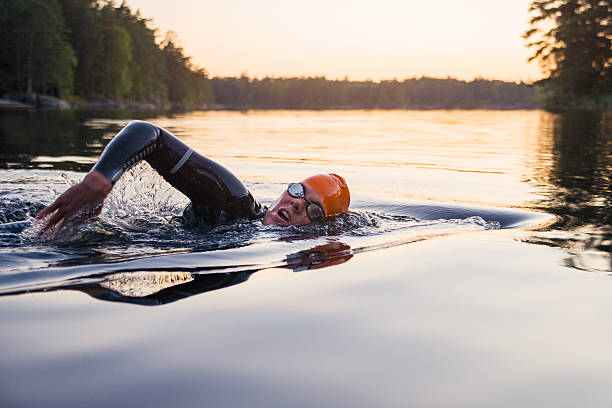 person swimming at sunset - woman swimming stock pictures, royalty-free photos & images