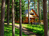 Photo of a rustic house on the woods