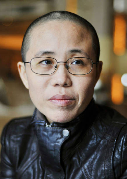 Image result for Liu Xia, the widow of dissident and Nobel Peace laureate Liu Xiaobo