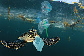 Plastic pollution and Sea Turtle underwater