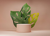 3D podium display with monstra deliciosa and frosted glass copy space. Minimal beige background with pedestal and green plant leaves. Trendy natural product promotion banner. Simple tropical 3d render