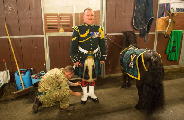 pony-major-mark-walkinson-and-cruachan-the-regimental-mascot-of-the-picture-id949039082