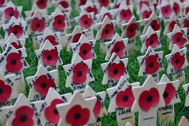 Remembrance Sunday Pictures