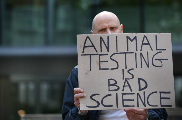 GBR: Animal Rights Protest At Home Office Over Laboratory Testing On Dogs
