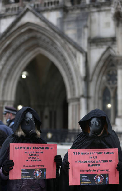 GBR: Scrap Factory Farming Protest