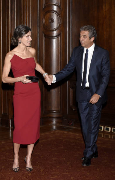 queen-letizia-of-spain-greets-actor-ricardo-darin-during-a-reception-picture-id1138501062
