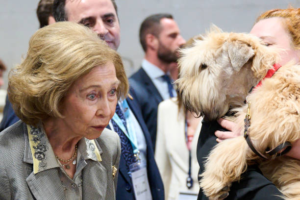ESP: Queen Sofia Inaugurates World Dog Show 2022