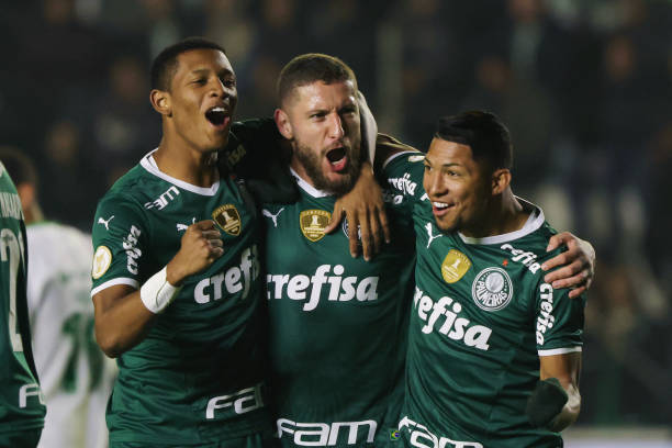 BRA: Juventude v Palmeiras - Brasileirao 2022