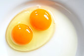 Raw two-yolk egg on the plate
