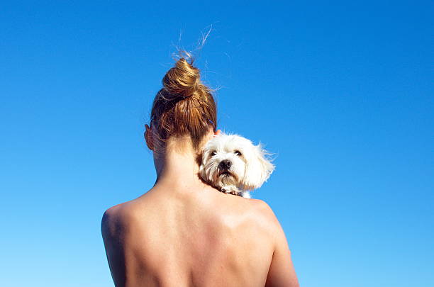rear view of a woman holding a dog - beautiful dog stock pictures, royalty-free photos & images