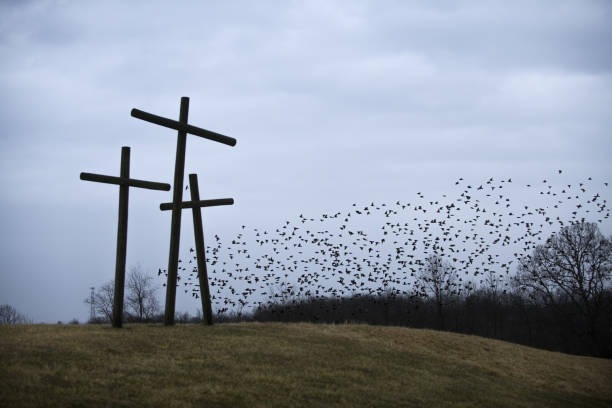 religious crosses in the landscape - good friday stockfoto's en -beelden