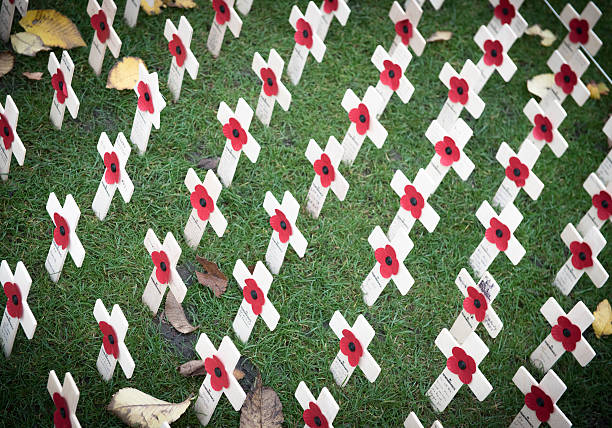 Remembrance crosses and poppies
