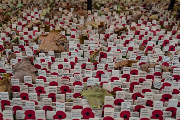 remembrance sunday pictures
