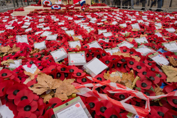 Remembrance Sunday Pictures