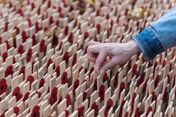 Remembrance Day, poppy and cross memorials for service personnel lost in wars