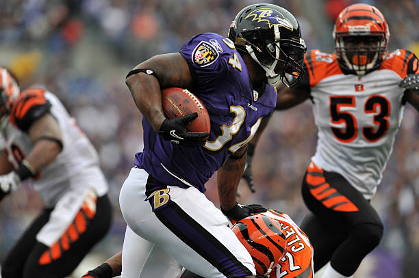Ricky Williams of the Baltimore Ravens runs the ball against the Cincinnati Bengals at M&T Bank Stadium on November 20, 2011 in Baltimore, Maryland....