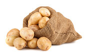 Ripe potato in burlap sack