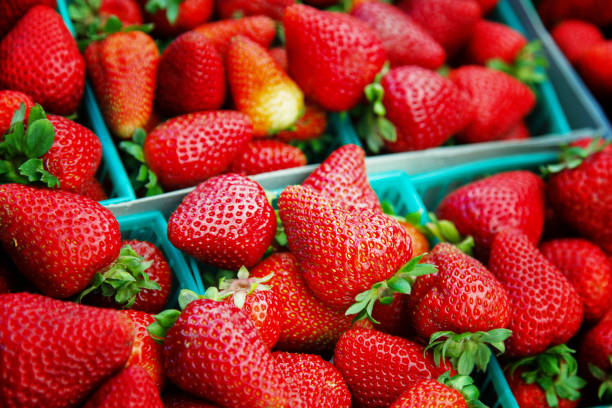 Ripe strawberries in boxes, San Jose, California, USA