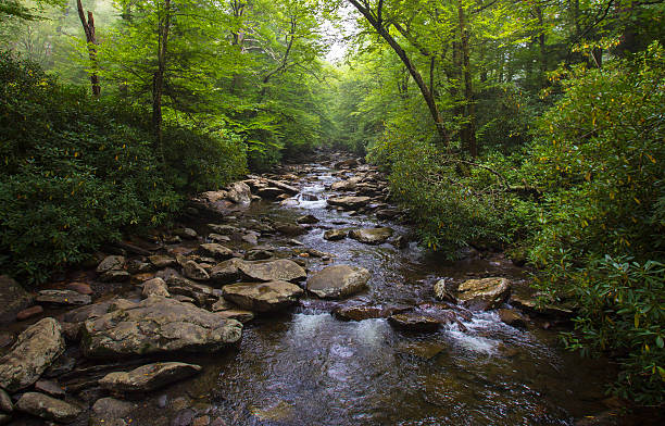 River in North Carolina