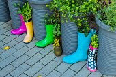 Rubber Boots with Plants in it