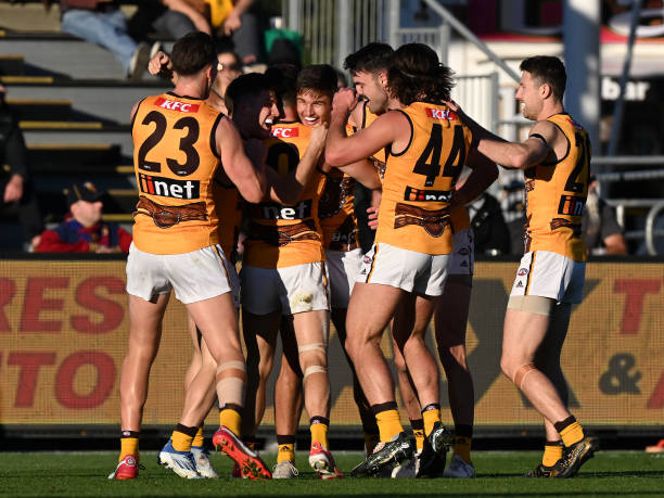 Sam Butler of the Hawks celebrates a goal during the round 10 AFL match between the Hawthorn Hawks and the Brisbane Lions at University of Tasmania...