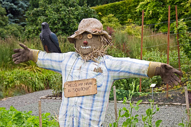 Scarecrow in Pollok Park.