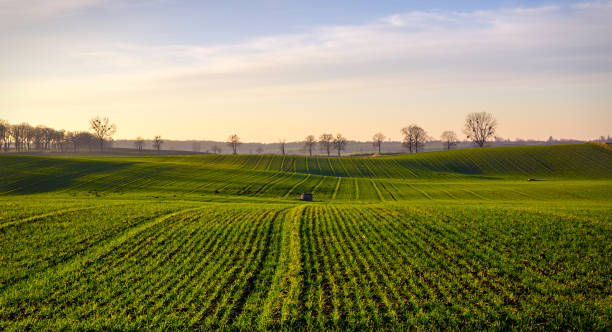 Scenic View Of Agricultural Field Against Sky, Bobowo, Poland