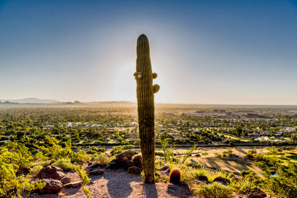 scottsdale arizona as seen from camelback mountain usa picture