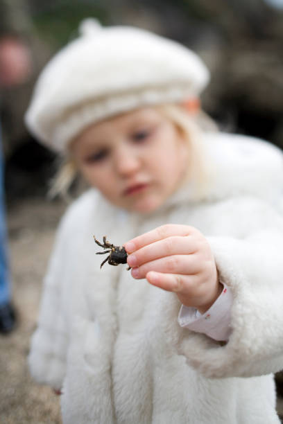 Seattle, Washington. A little girl holds up a small crab found beneath a rock on the shore of the Puget Sound.
