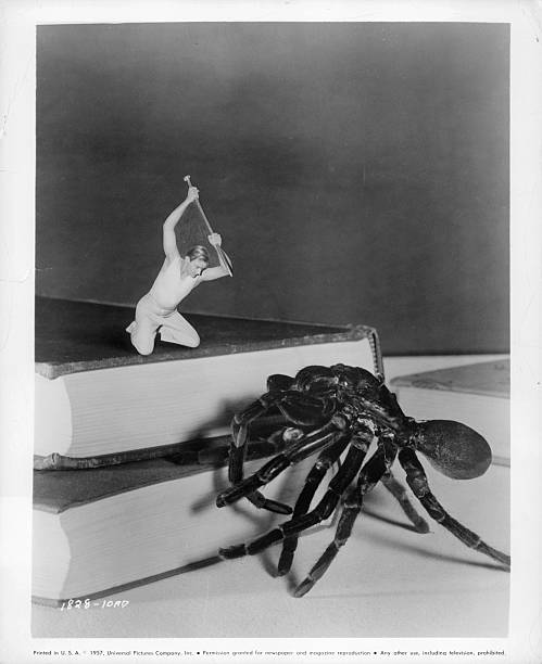 shrinking-grant-williams-battling-intimidating-insect-in-a-scene-from-picture-id129735100