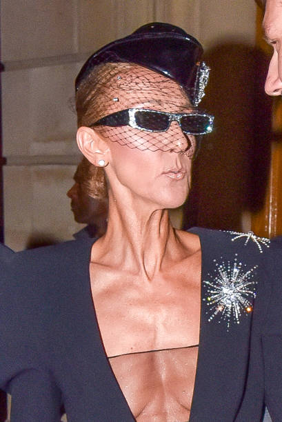 Singer Celine Dion is seen on January 25 2019 in Paris France