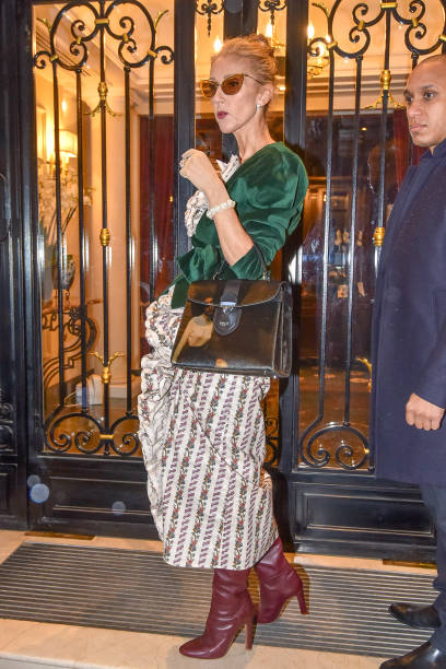 Singer Celine Dion is seen on January 25 2019 in Paris France