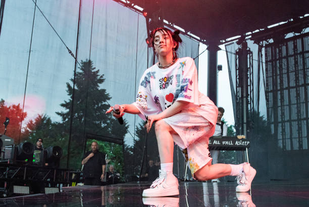 Singer/songwriter Billie Eilish performs on stage at Marymoor Park on June 02, 2019 in Redmond, Washington.