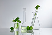 Skincare products and drugs chemical researches concept of centella asiatica