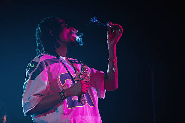 Snoop Lion Performs At Showbox Sodo in Seattle.