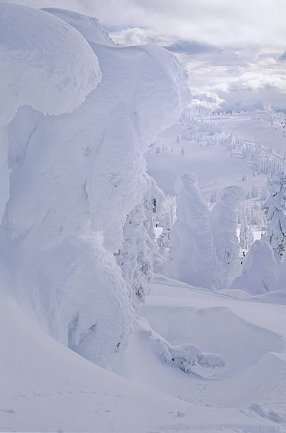 Snow Giants Are Trees Covered In Hoar Frost, Mt. Washington Ski Area, Vancouver Island