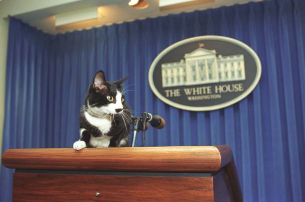 DC: United States Presidential Pets