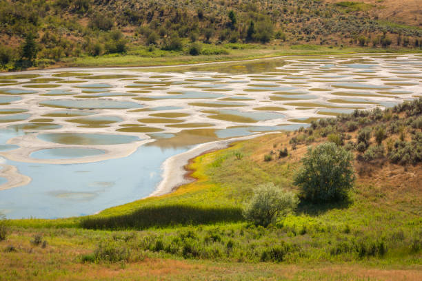 spotted lake in the south okanagan valley, british columbia, canada - canada’s spotted lake. stock pictures, royalty-free photos & images