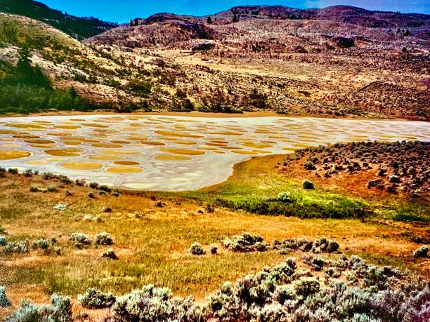 spotted lake - spotted lake stock pictures, royalty-free photos & images