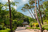 spring jingwansa temple seoul korea