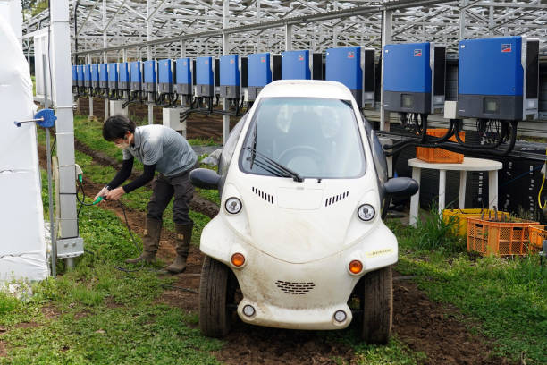 JPN: Japan's Dual-use Agrivoltaic Farms