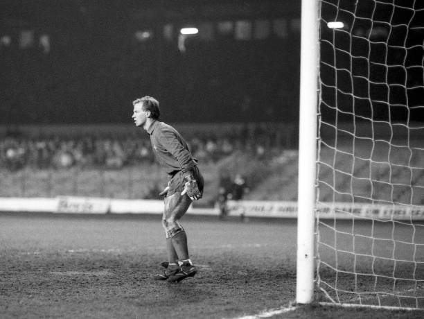 Striker David Speedie of Chelsea takes over as a goalkeeper for the injured Eddie Niedzwiecki during the Canon League Division One match between...