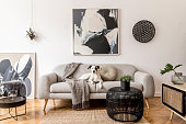 Stylish and scandinavian living room interior of modern apartment with gray sofa, design wooden commode, black table, lamp, abstrac paintings on the wall. Beautiful dog lying on the couch. Home decor.