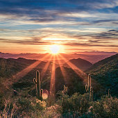 Sunset over the McDowell Sonoran Conservancy