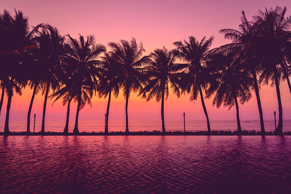 Sunset with Silhouette Palm Trees