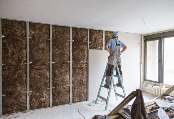 wall insulation