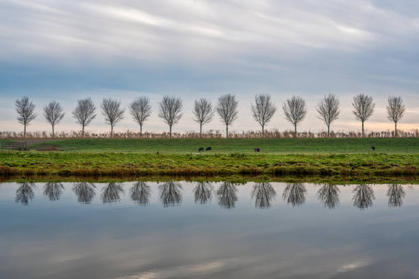 The Beemster Ringvaart as seen from the Eilandspolder, a nature reserve in the north of the Netherlands